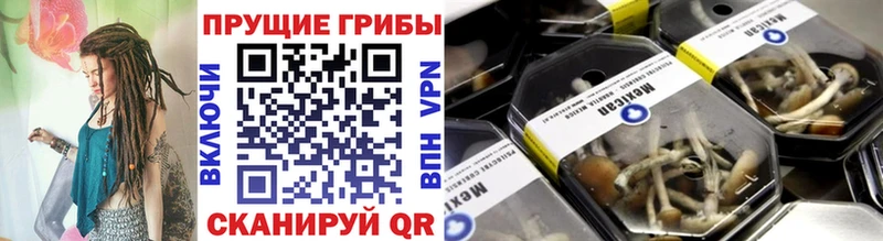 продажа наркотиков  Выкса  МЕГА как войти  Галлюциногенные грибы Cubensis 