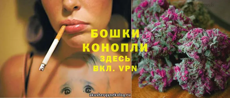 Бошки Шишки Amnesia  где купить наркотик  Выкса 